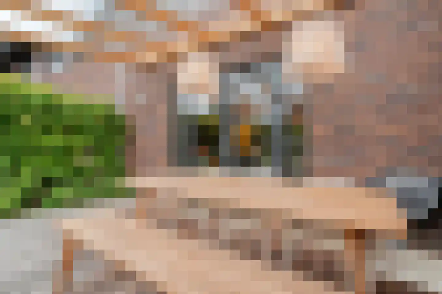 Schoonhetenstraat 15 Zwolle thumbnail 42