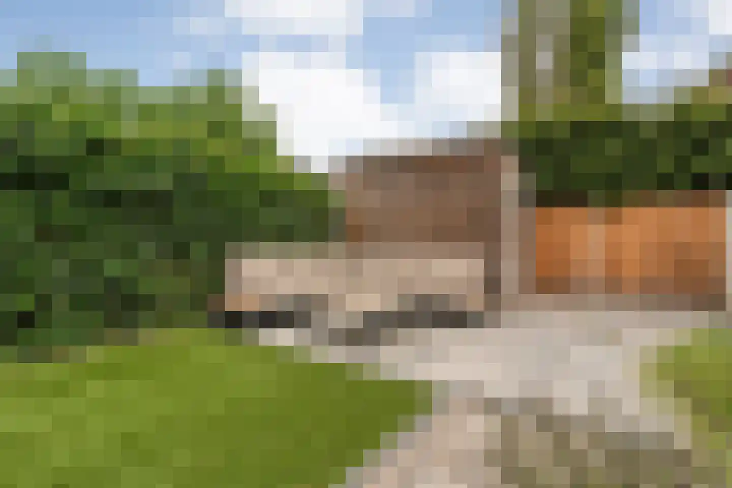 Schoonhetenstraat 15 Zwolle thumbnail 44