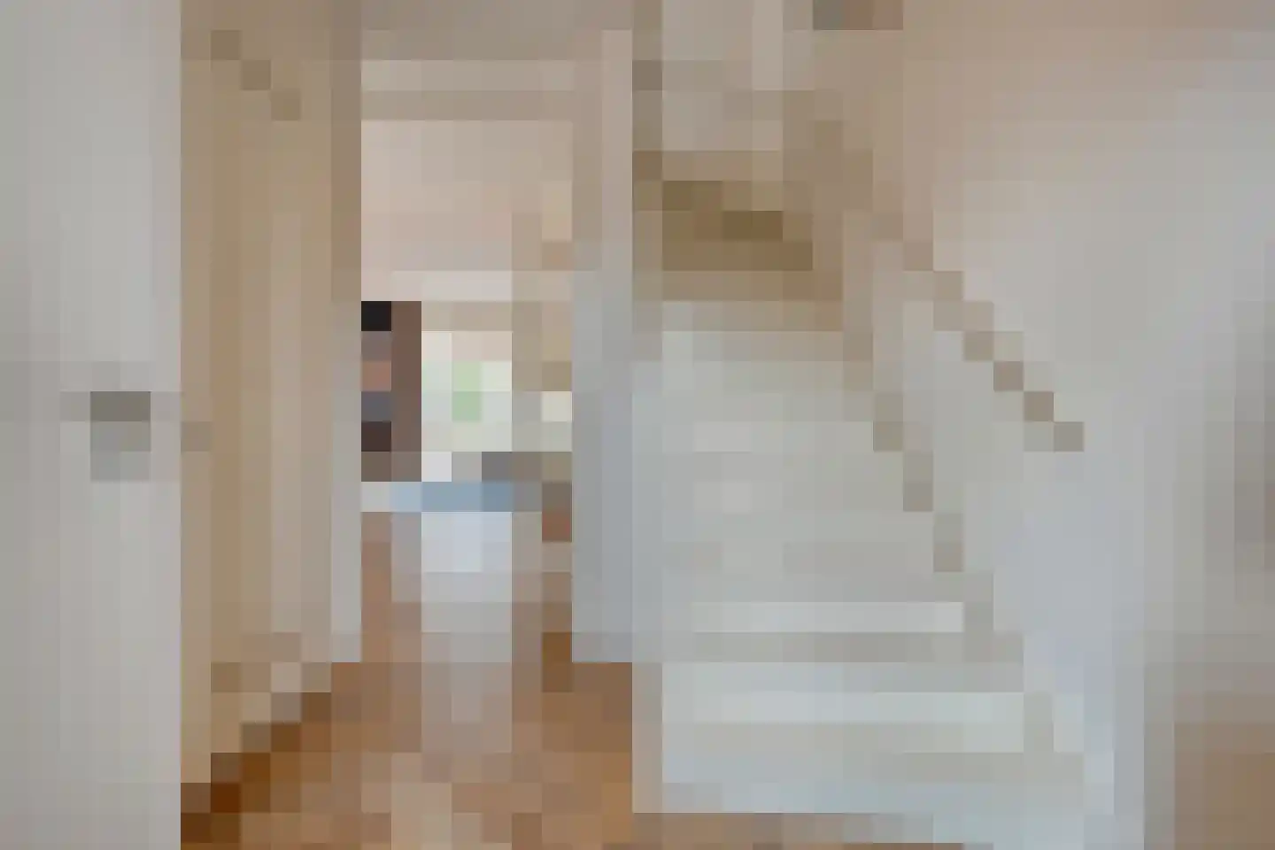 Schoonhetenstraat 15 Zwolle thumbnail 7