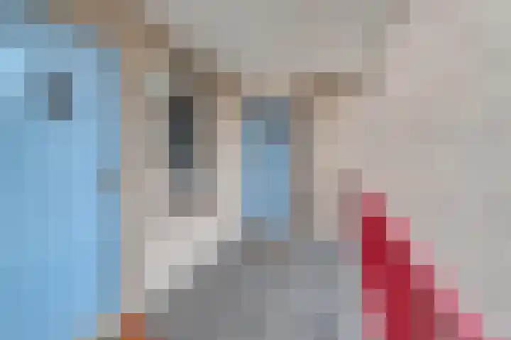 Schoonhoeve 11 Eindhoven thumbnail 12