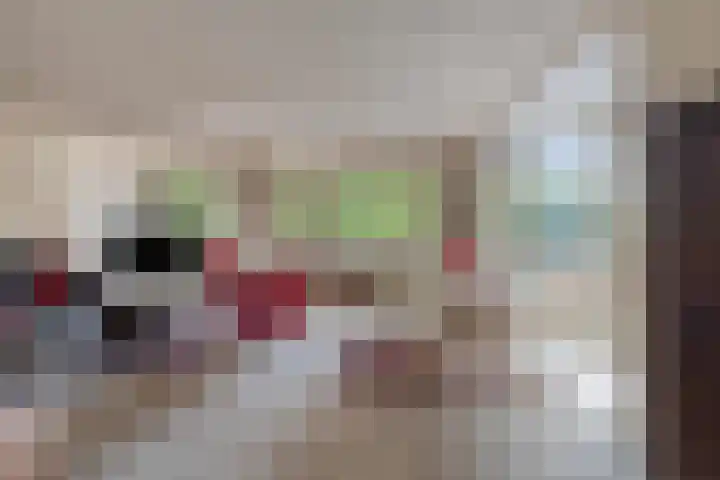 Schoonhoeve 11 Eindhoven thumbnail 28