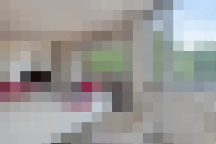 Schoonhoeve 11 Eindhoven thumbnail 29