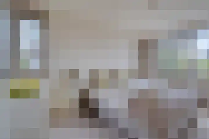 Schoonhoeve 11 Eindhoven thumbnail 4