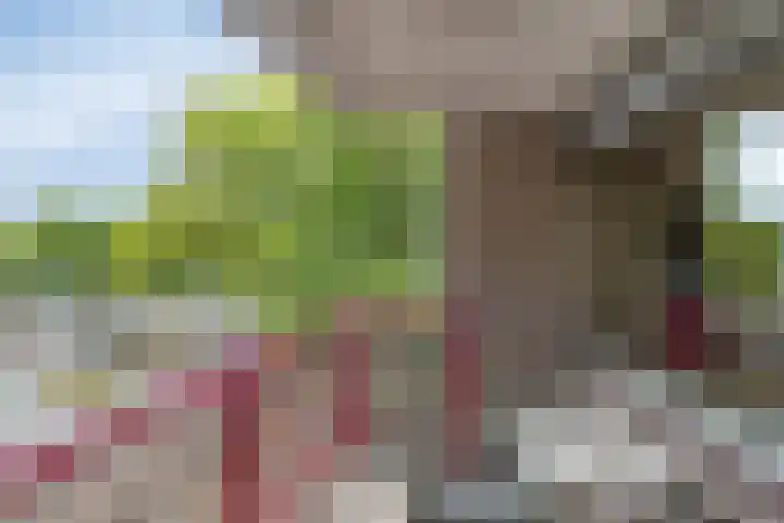 Schoonhoeve 11 Eindhoven thumbnail 41