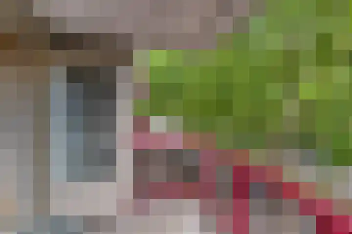 Schoonhoeve 11 Eindhoven thumbnail 42