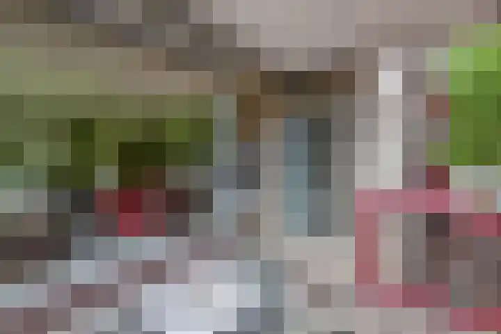 Schoonhoeve 11 Eindhoven thumbnail 43