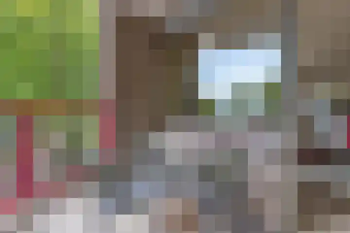 Schoonhoeve 11 Eindhoven thumbnail 44