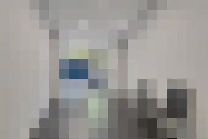 Schoonhoeve 11 Eindhoven thumbnail 8