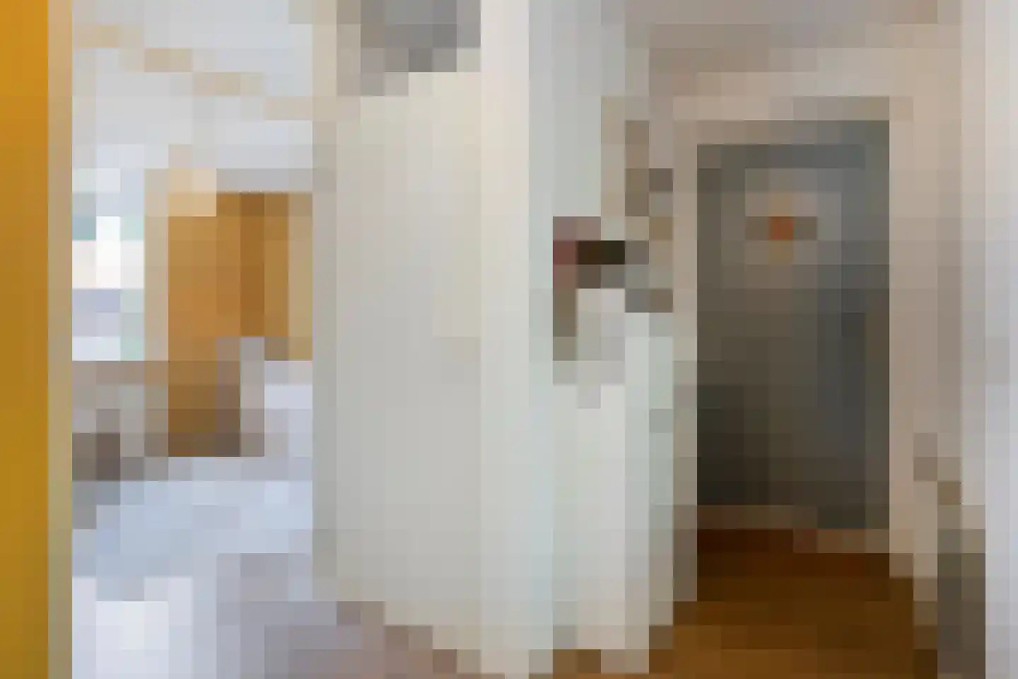 Schoonhoeve 33 Eindhoven thumbnail 11