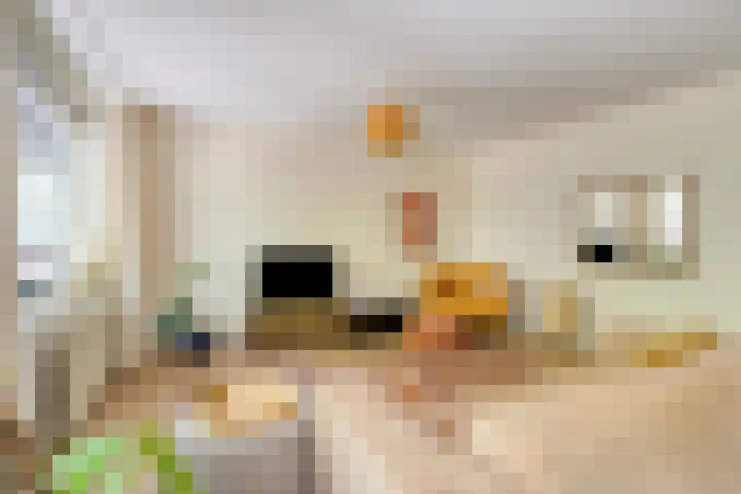 Schoonhoeve 33 Eindhoven thumbnail 22