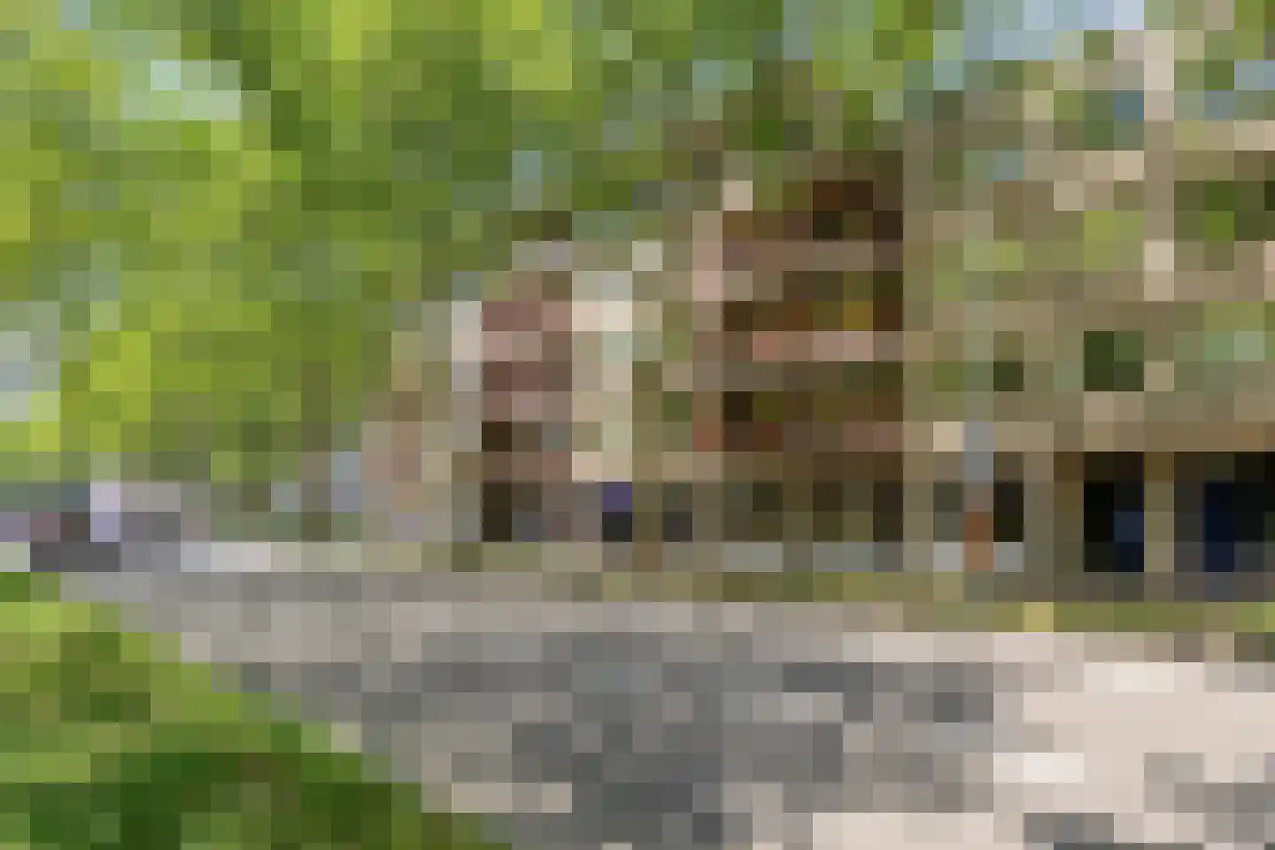 Schoonhoeve 33 Eindhoven thumbnail 5