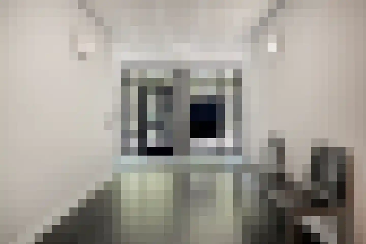 Schoonhoeve 33 Eindhoven thumbnail 8