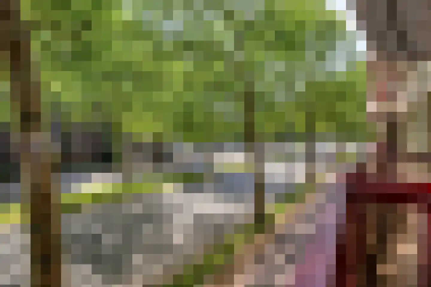 Schoonhoeve 39 Eindhoven thumbnail 33