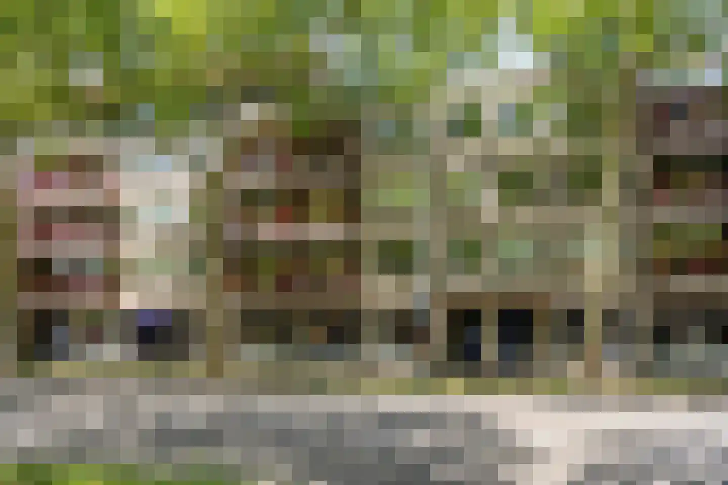 Schoonhoeve 39 Eindhoven thumbnail 4