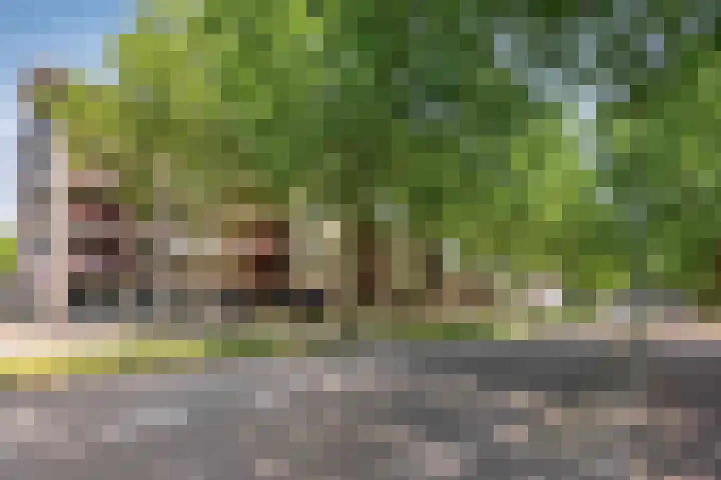 Schoonhoeve 39 Eindhoven thumbnail 6