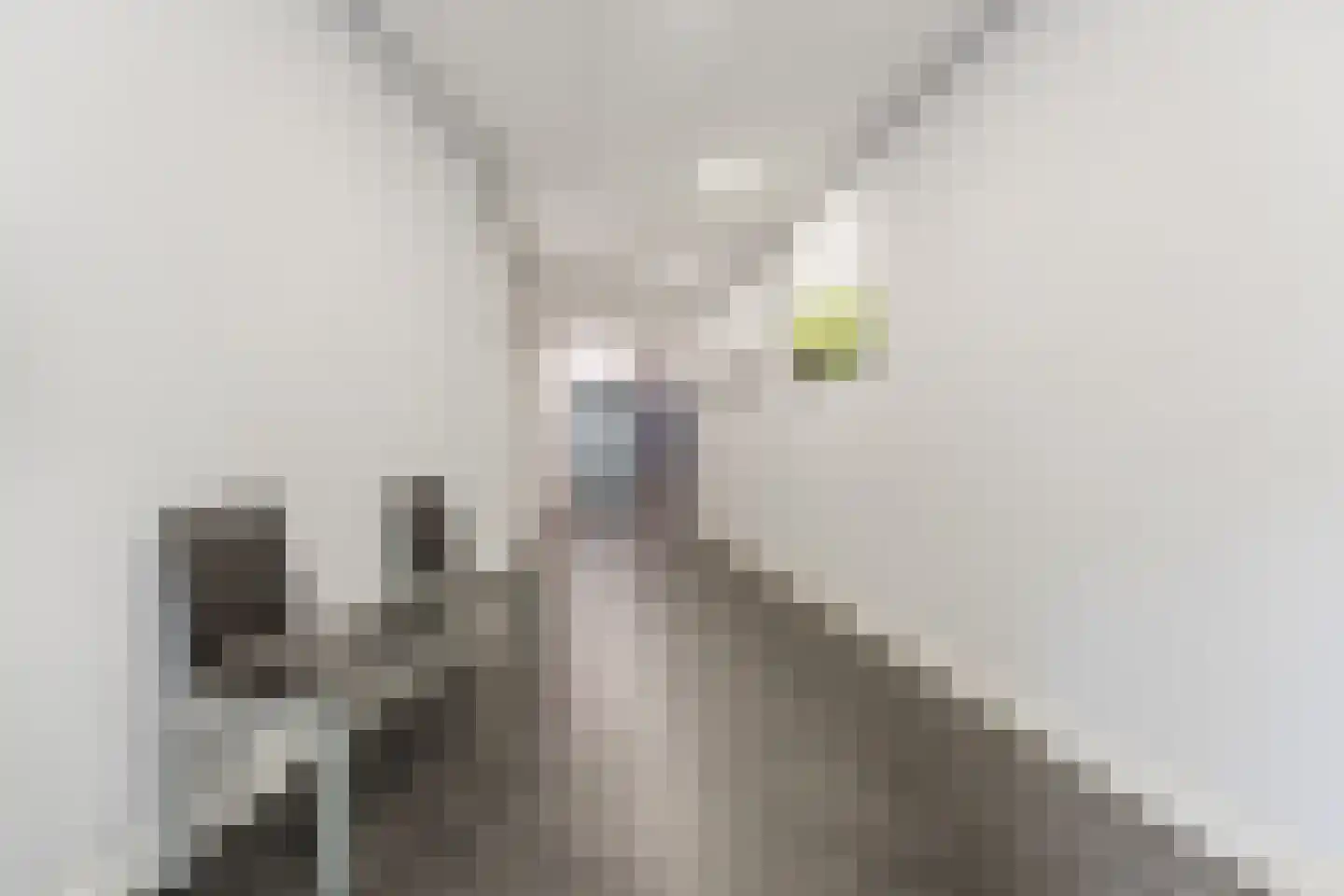 Schoonhoeve 7 Eindhoven thumbnail 11