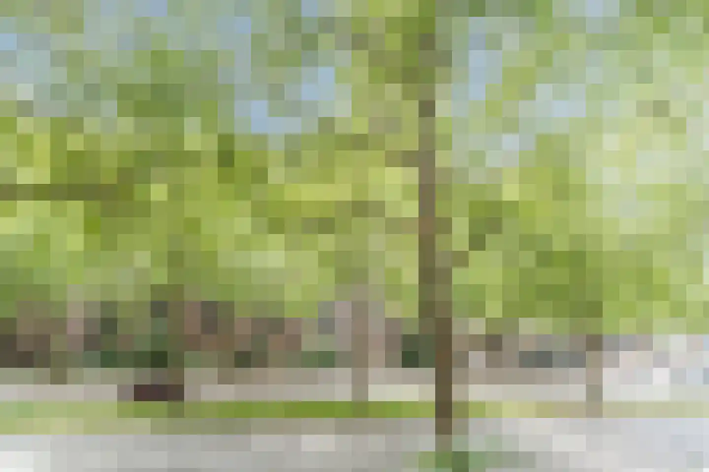 Schoonhoeve 7 Eindhoven thumbnail 25