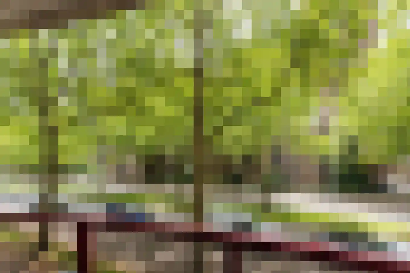 Schoonhoeve 7 Eindhoven thumbnail 30