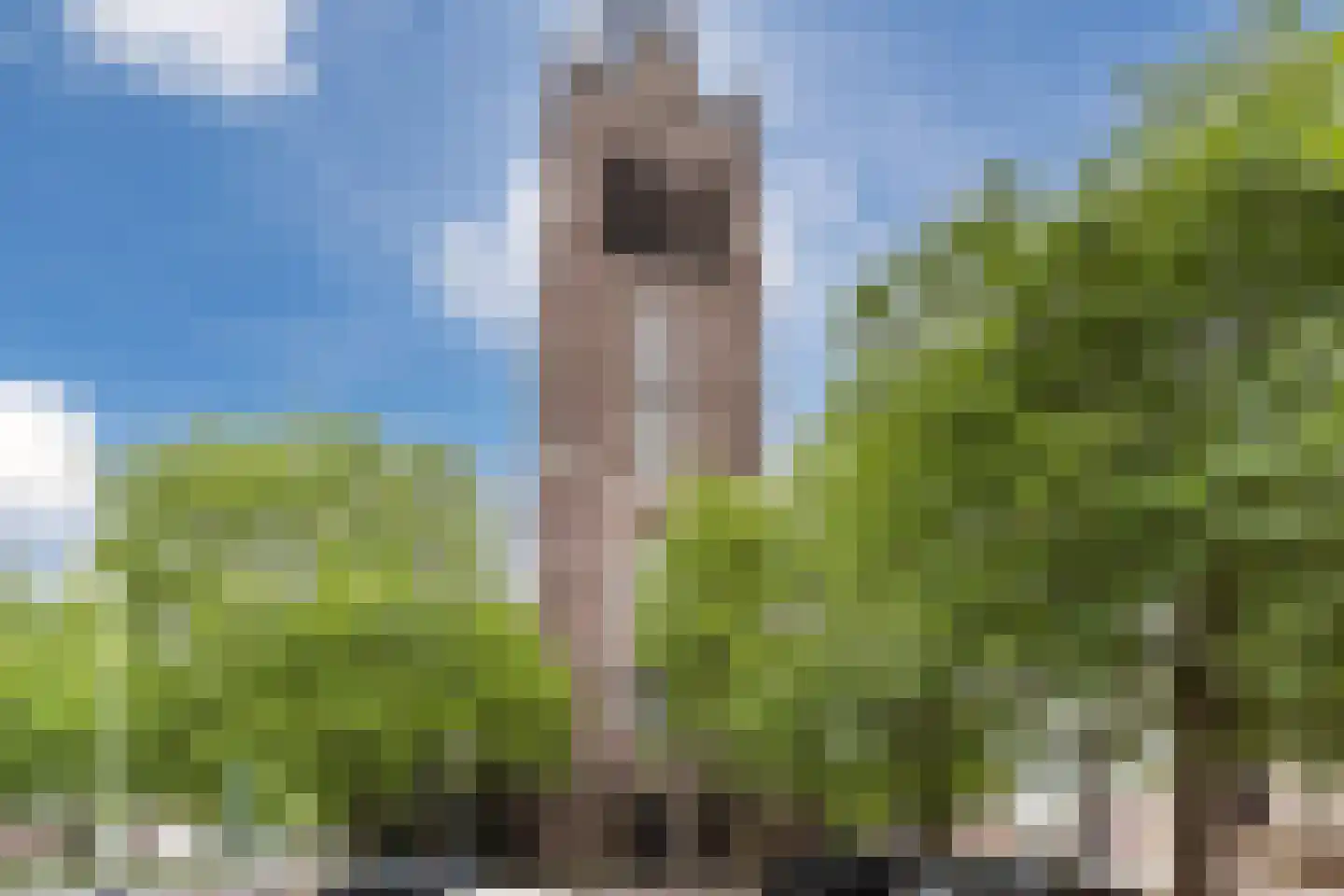 Schoonhoeve 7 Eindhoven thumbnail 5