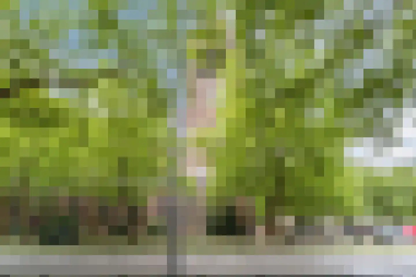 Schoonhoeve 7 Eindhoven thumbnail 55