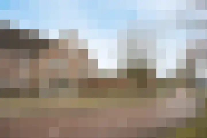 Schoonhout 164 Etten-Leur thumbnail 5