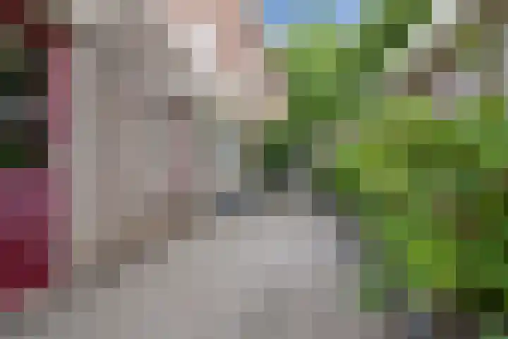 Schoonhout 172 Etten-Leur thumbnail 47