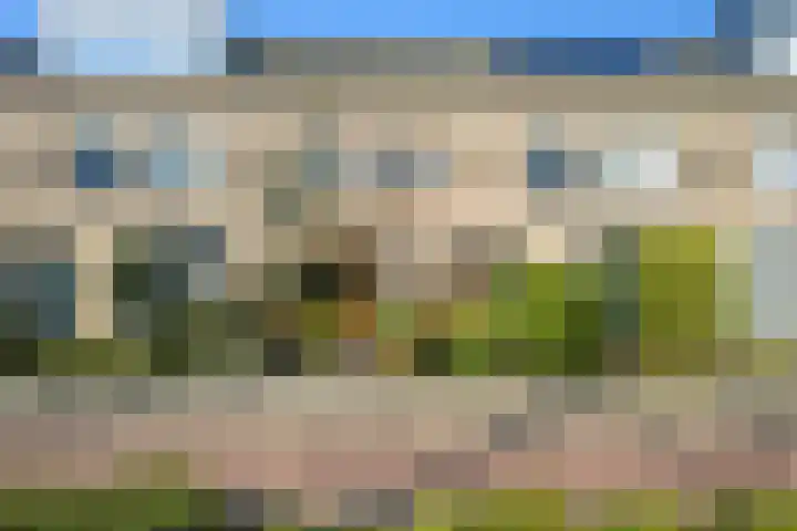 Schoonhout 204 in Etten-Leur