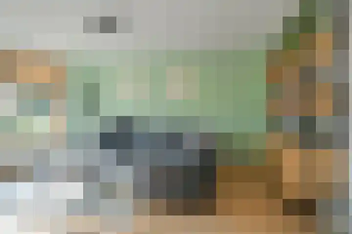 Schoonhout 204 Etten-Leur thumbnail 11
