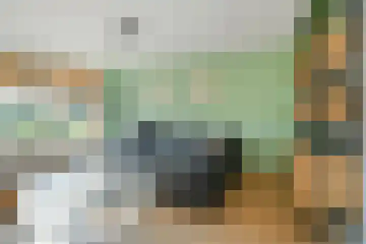 Schoonhout 204 Etten-Leur thumbnail 16