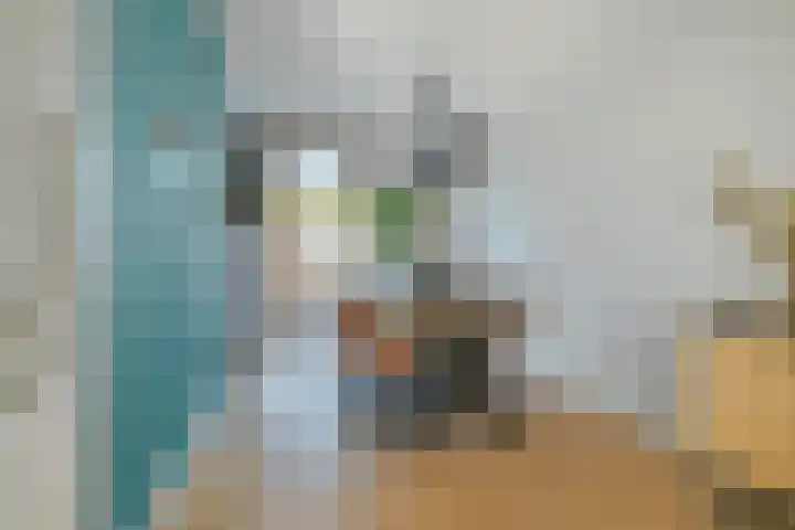 Schoonhout 204 Etten-Leur thumbnail 19