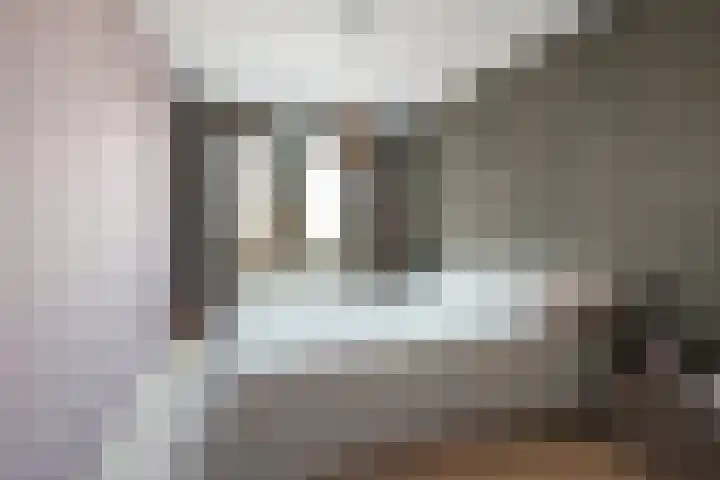 Schoonhout 204 Etten-Leur thumbnail 35