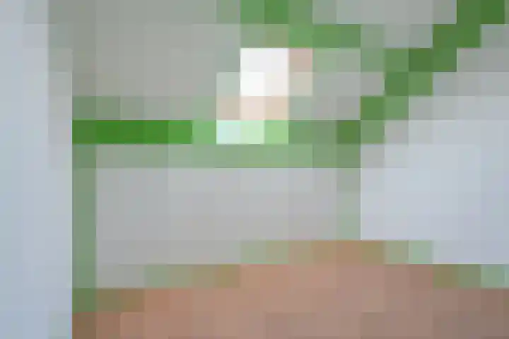Schoonhout 204 Etten-Leur thumbnail 51