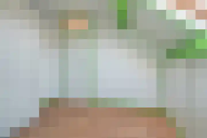 Schoonhout 204 Etten-Leur thumbnail 52