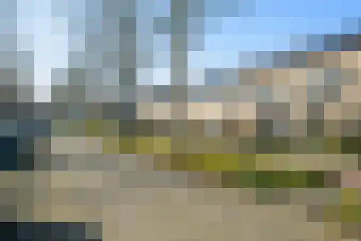 Schoonhout 204 Etten-Leur thumbnail 57