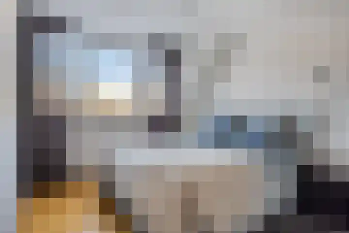 Schoonhout 27 Etten-Leur thumbnail 13
