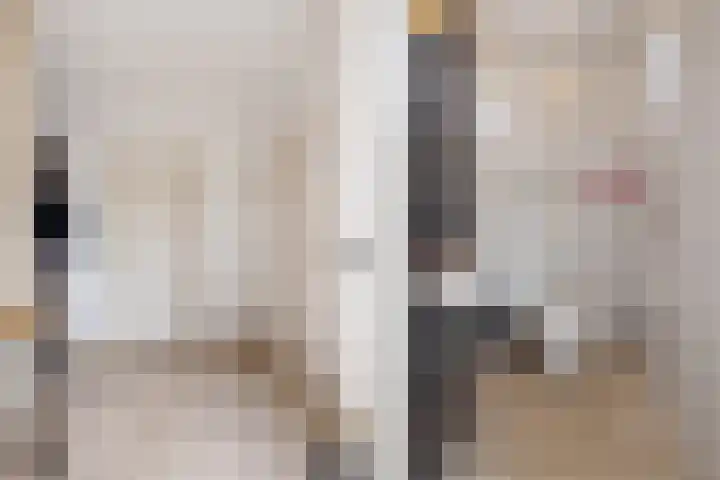 Schoonhovenerf 4 Tilburg thumbnail 16