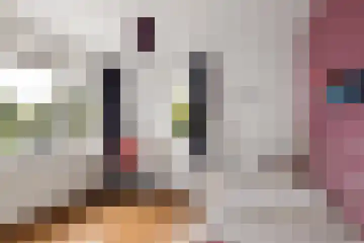 Schoonhovenerf 4 Tilburg thumbnail 26