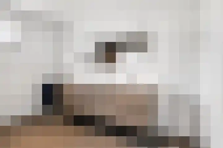 Schoonhovenerf 4 Tilburg thumbnail 32