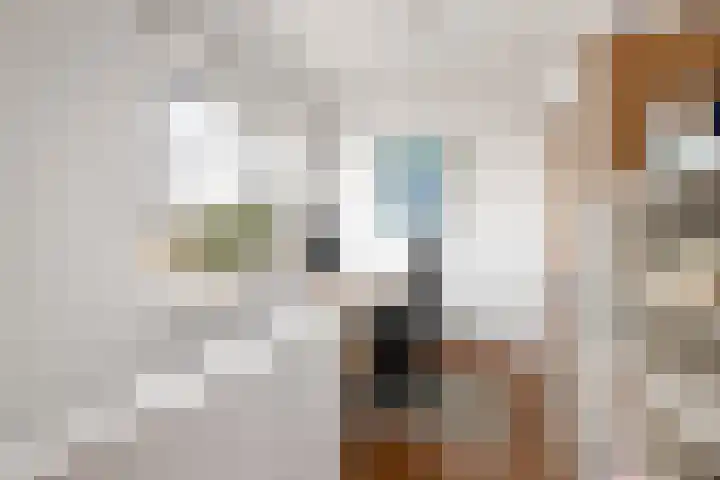 Schoonhovenerf 4 Tilburg thumbnail 36