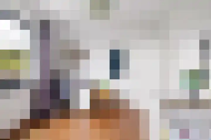 Schoonhovenerf 4 Tilburg thumbnail 39