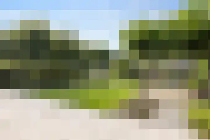 Schoonhovenerf 4 Tilburg thumbnail 40