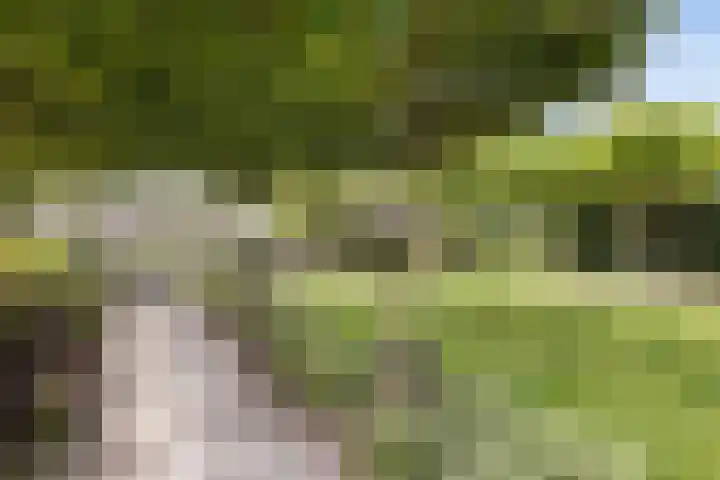 Schoonhovenerf 4 Tilburg thumbnail 42