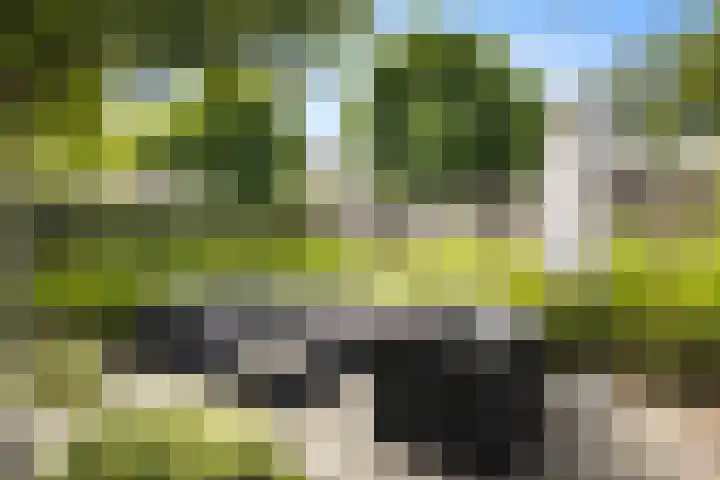 Schoonhovenerf 4 Tilburg thumbnail 43