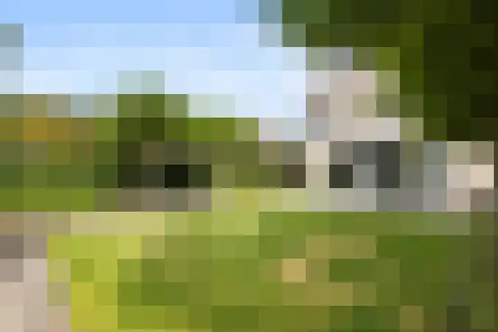 Schoonhovenerf 4 Tilburg thumbnail 44