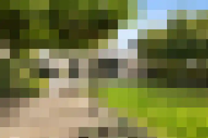 Schoonhovenerf 4 Tilburg thumbnail 46