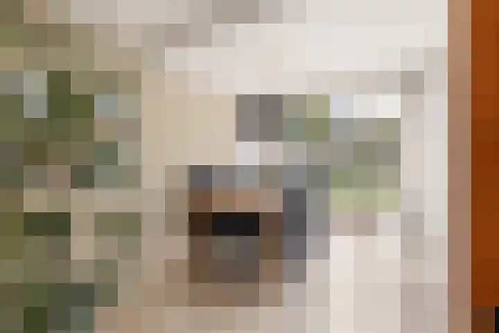 Schoonhovenerf 4 Tilburg thumbnail 6