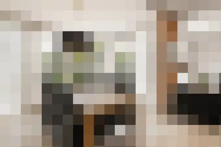 Schoonhovenerf 4 Tilburg thumbnail 7