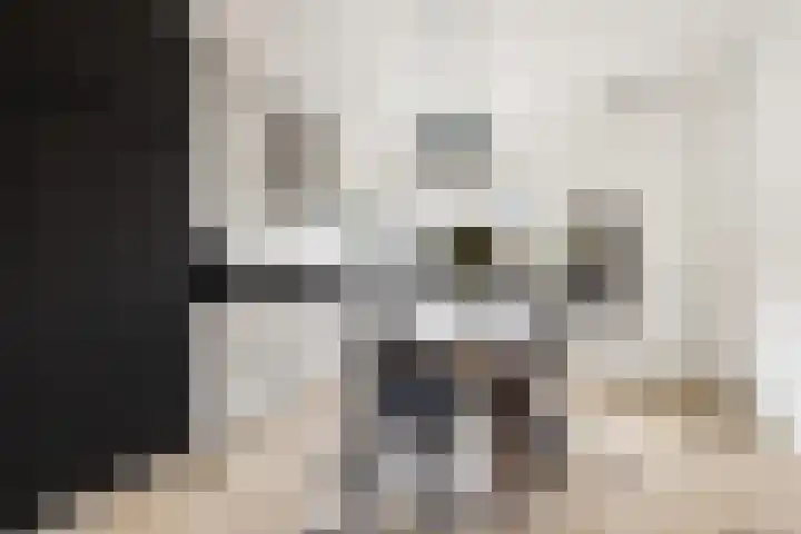 Schoonhovenerf 4 Tilburg thumbnail 9