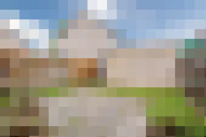 Schoonhovenhof 15 Arnhem thumbnail 23
