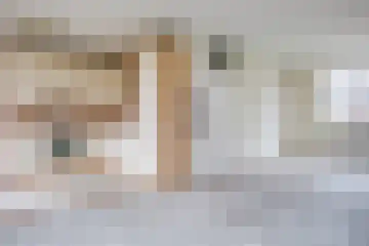 Schoonhovenhof 15 Arnhem thumbnail 6